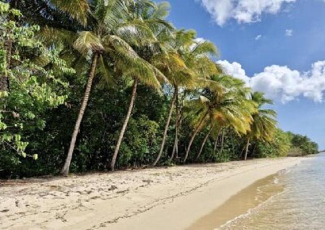 Touloukaera appt 303 Plage Kawann Saint-Louis Bagian luar foto