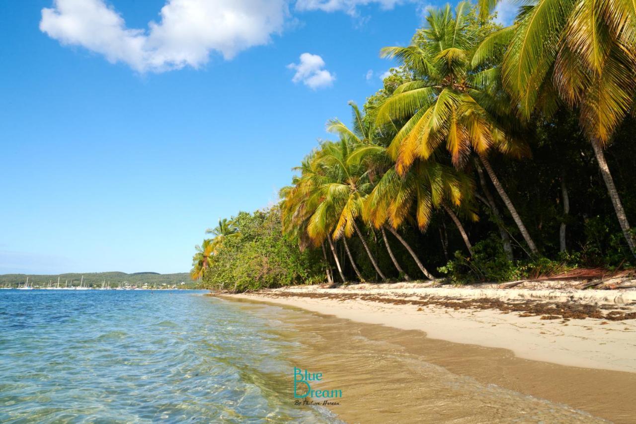 Touloukaera appt 303 Plage Kawann Saint-Louis Bagian luar foto